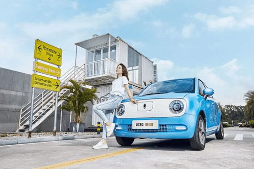 什么樣的電動汽車能賣好